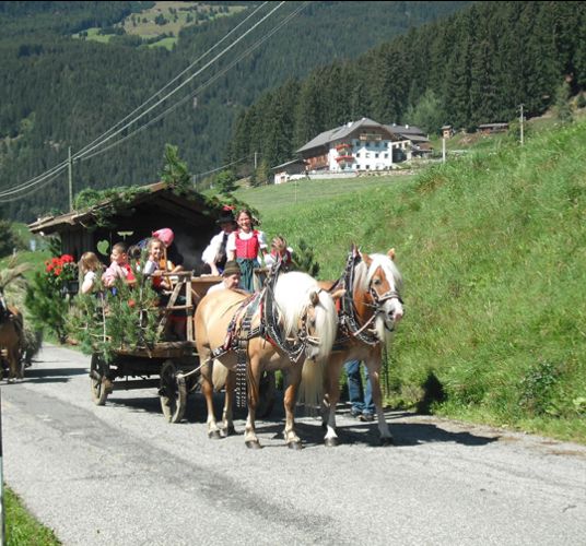 Horse-drawn carriages